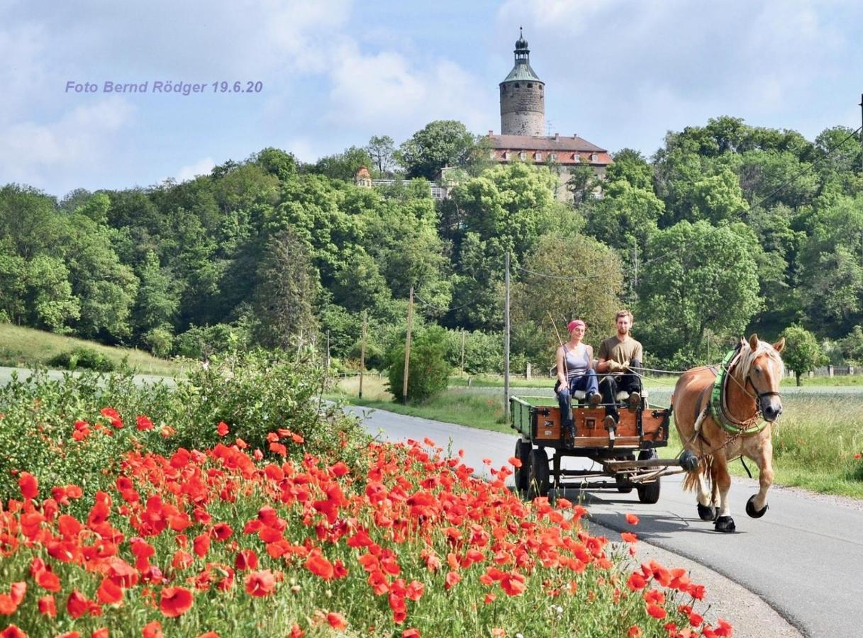 Pension Gruenes Herz Tonndorf Экстерьер фото